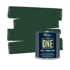 THE ONE All-In-One Paint
