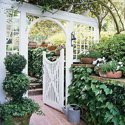 All one paint primer white - primer,